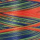 Spule Poly Sheen Multi Glowing Brights, bunt mit Rot, Blau, Grün und Gelb